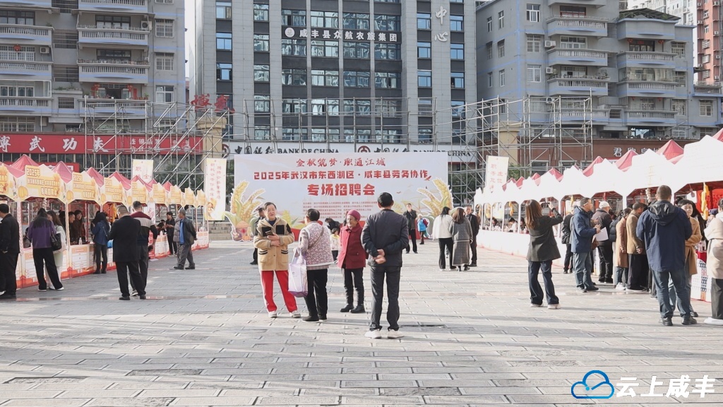 东西湖区・咸丰县劳务协作招聘会初步达成就业意向300余人