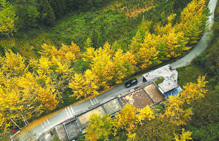 【恩施日报】图片新闻