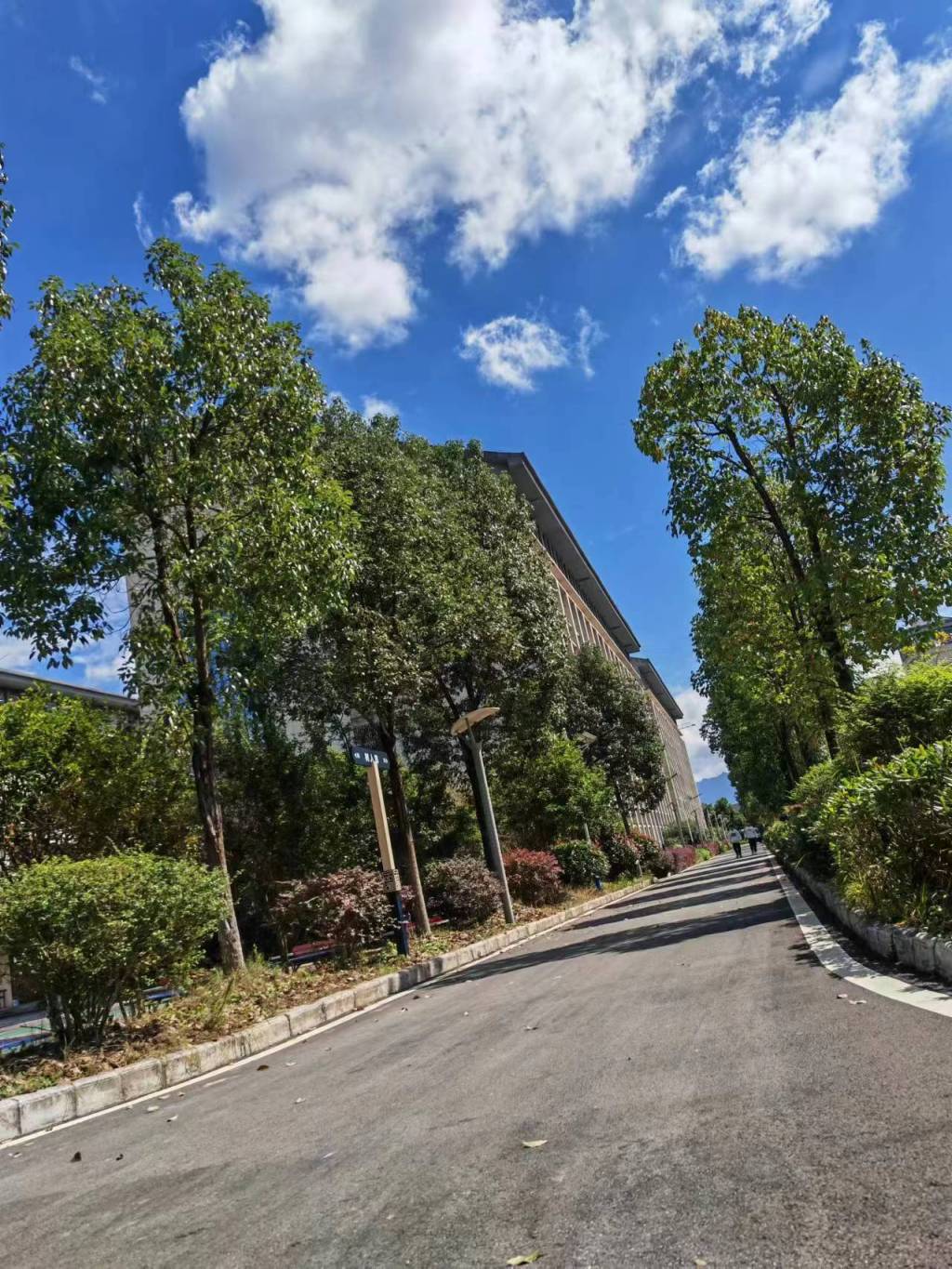 树人路.jpg 树人路.jpg