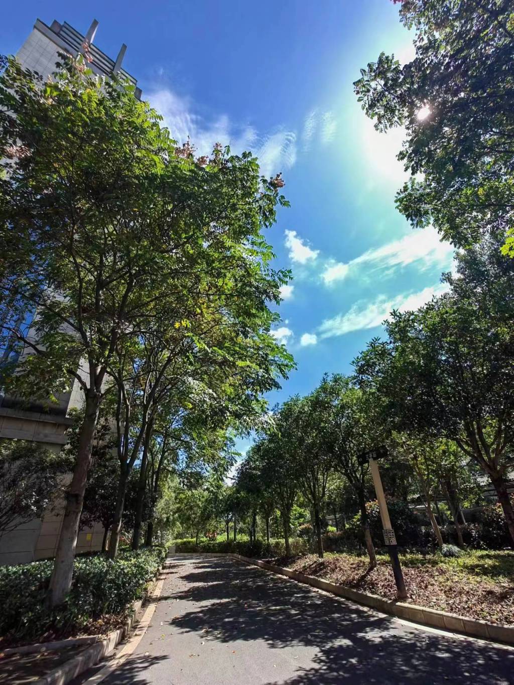 兰亭路.jpg 兰亭路.jpg