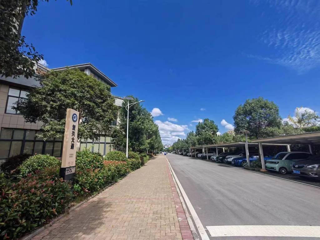 复兴大道2.jpg 复兴大道2.jpg