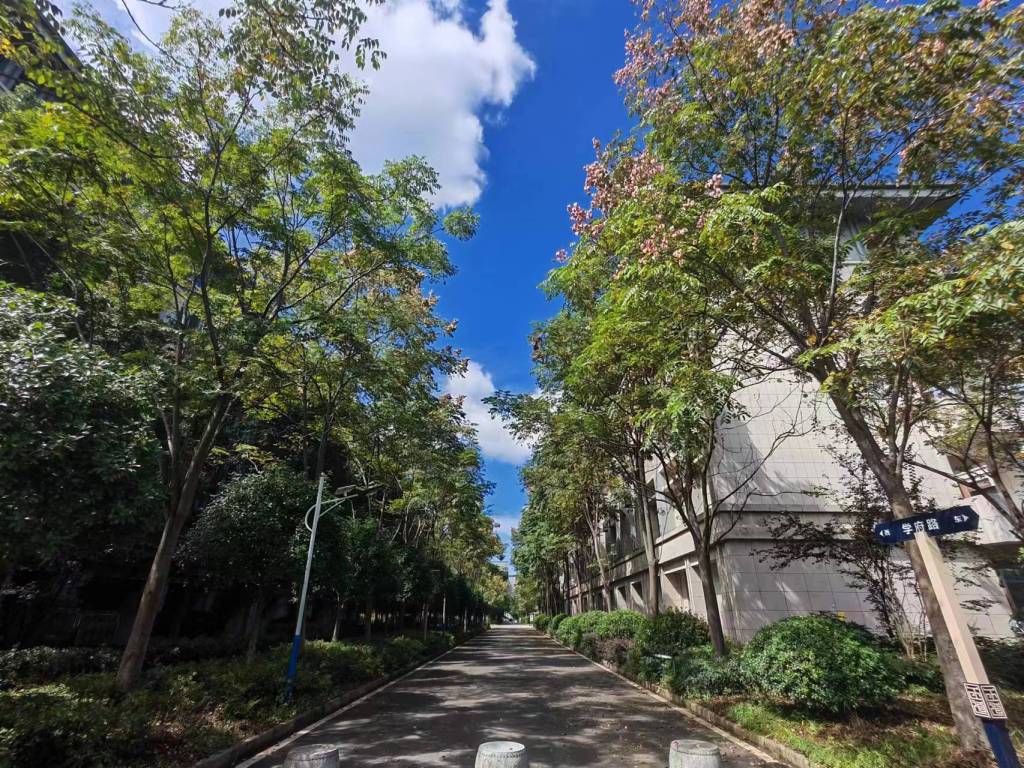 学府路1.jpg 学府路1.jpg