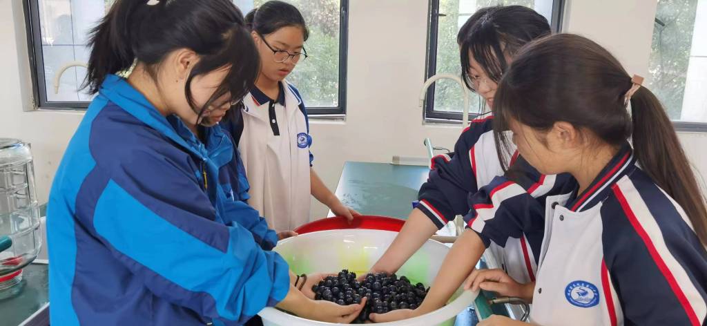 微信图片_20231110150923.jpg 微信图片_20231110150923.jpg