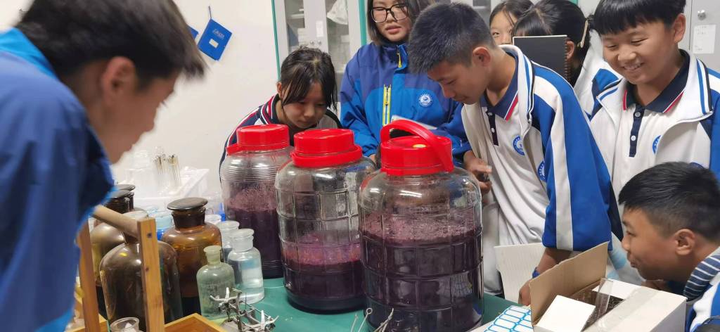 微信图片_20231110150944.jpg 微信图片_20231110150944.jpg