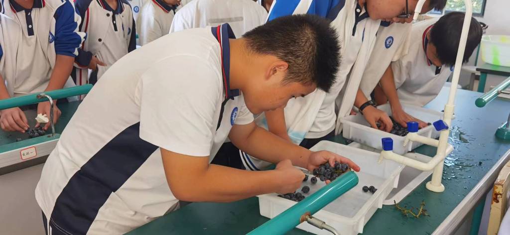 微信图片_20231110150927.jpg 微信图片_20231110150927.jpg