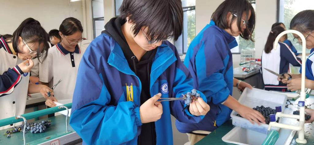 微信图片_20231110150933.jpg 微信图片_20231110150933.jpg