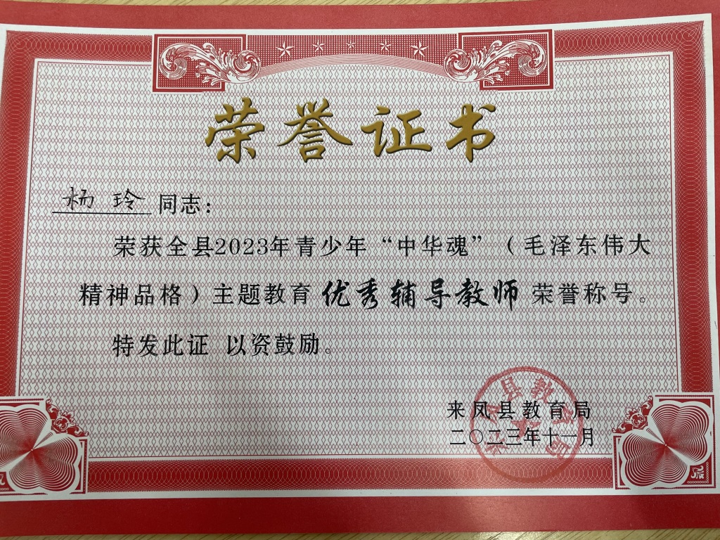 优秀辅导教师 杨玲.JPG