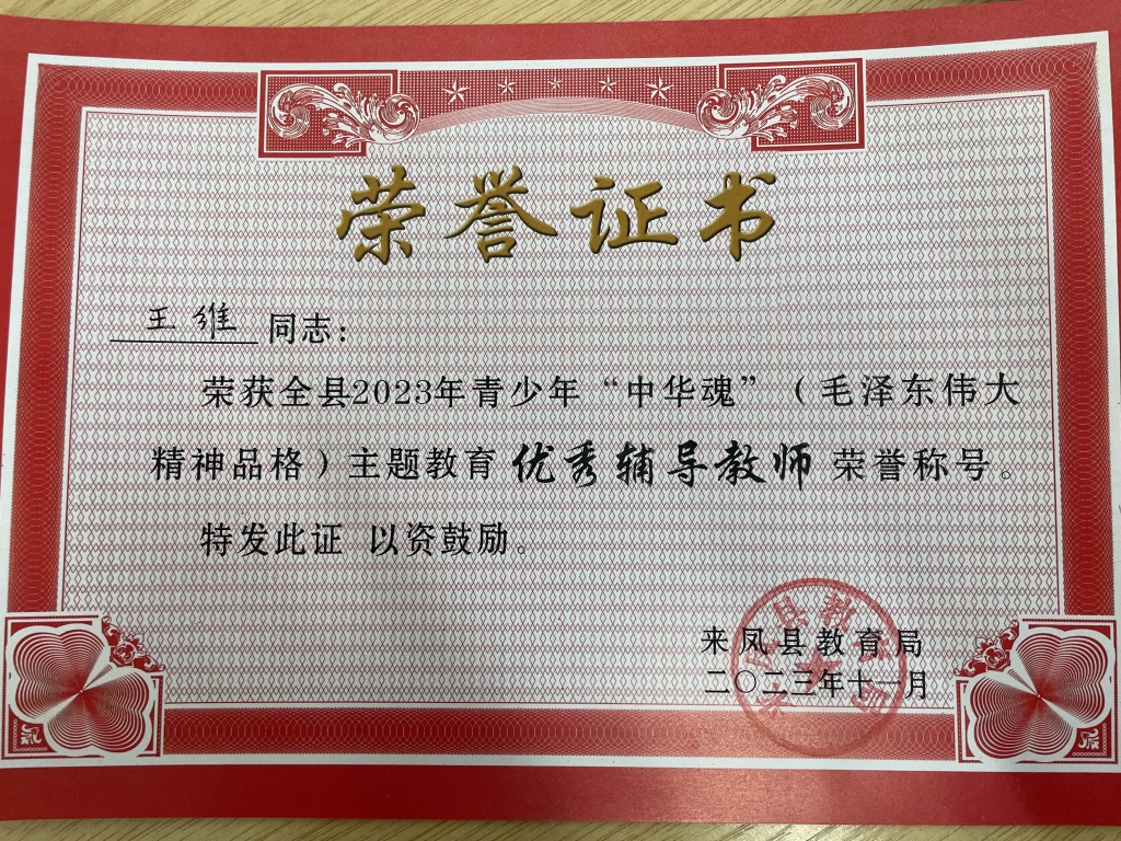 优秀辅导教师 王维.JPG