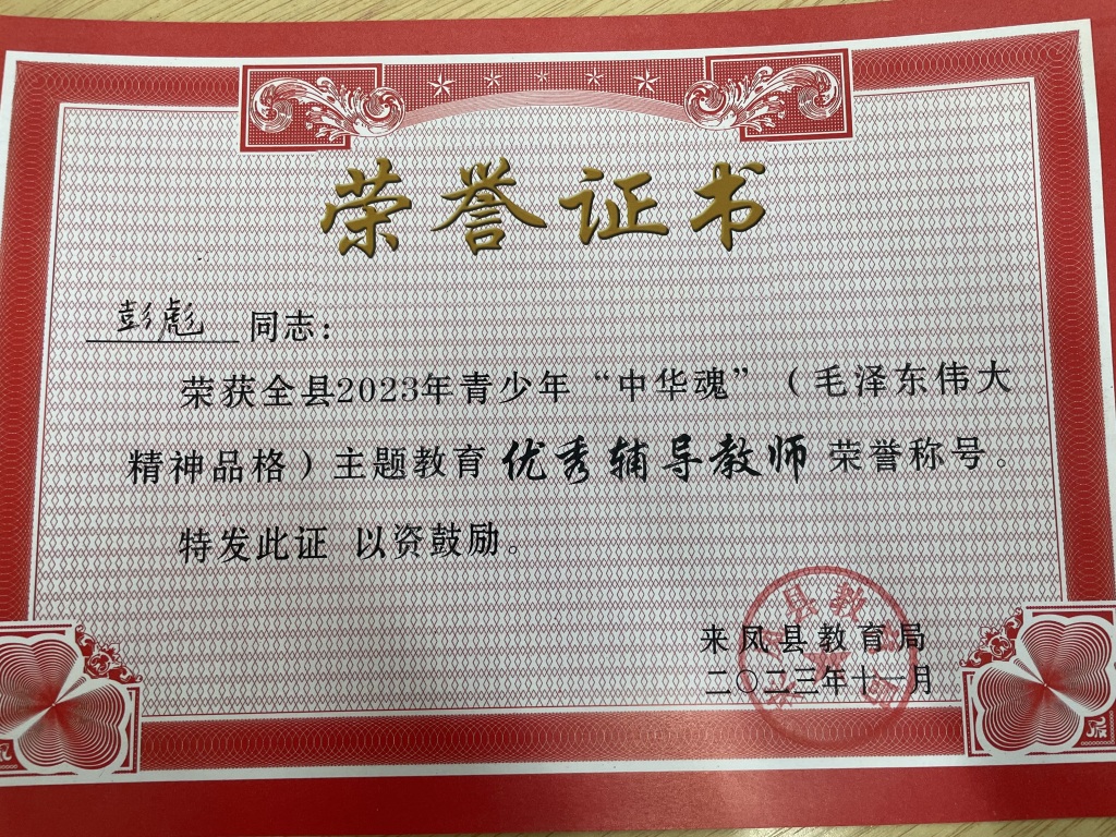 优秀辅导教师 彭彪.JPG