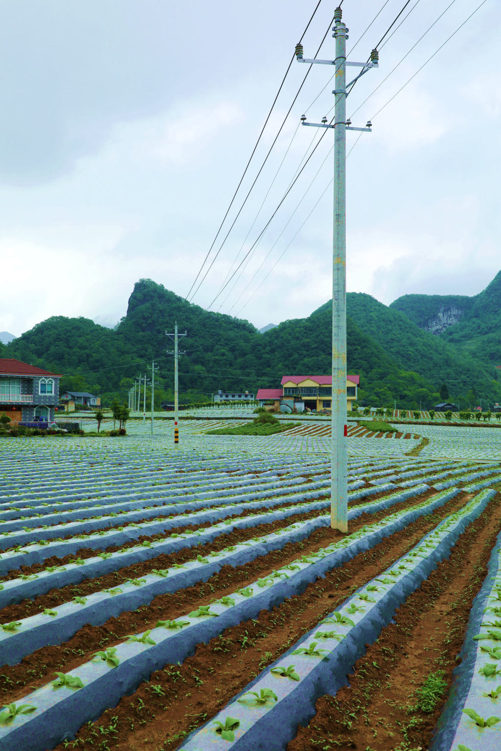 行摄鹤峰乡村谱写在大地上的动人诗篇