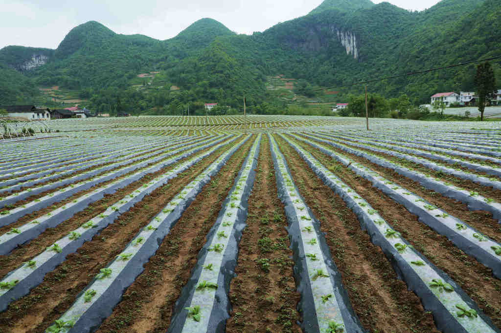 行摄鹤峰乡村谱写在大地上的动人诗篇