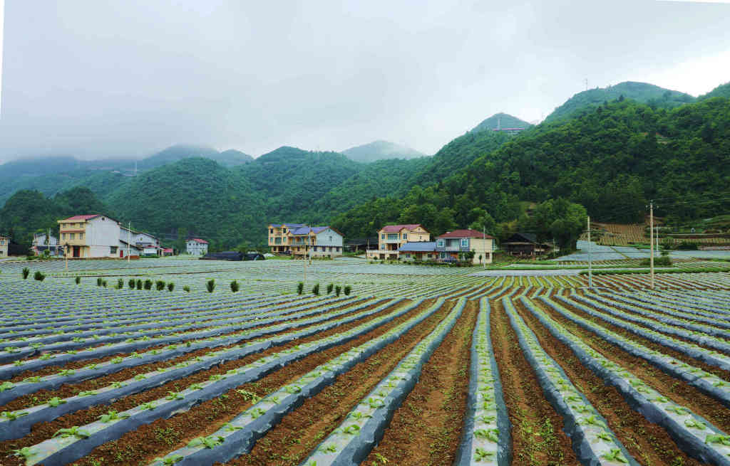 行摄鹤峰乡村谱写在大地上的动人诗篇