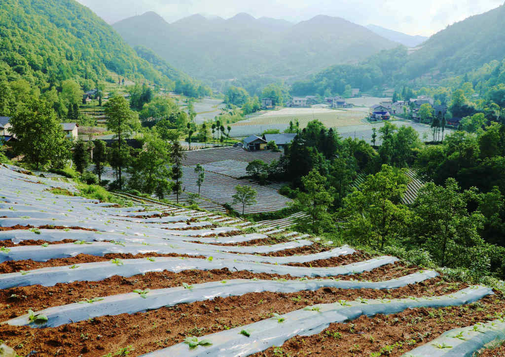 行摄鹤峰乡村谱写在大地上的动人诗篇