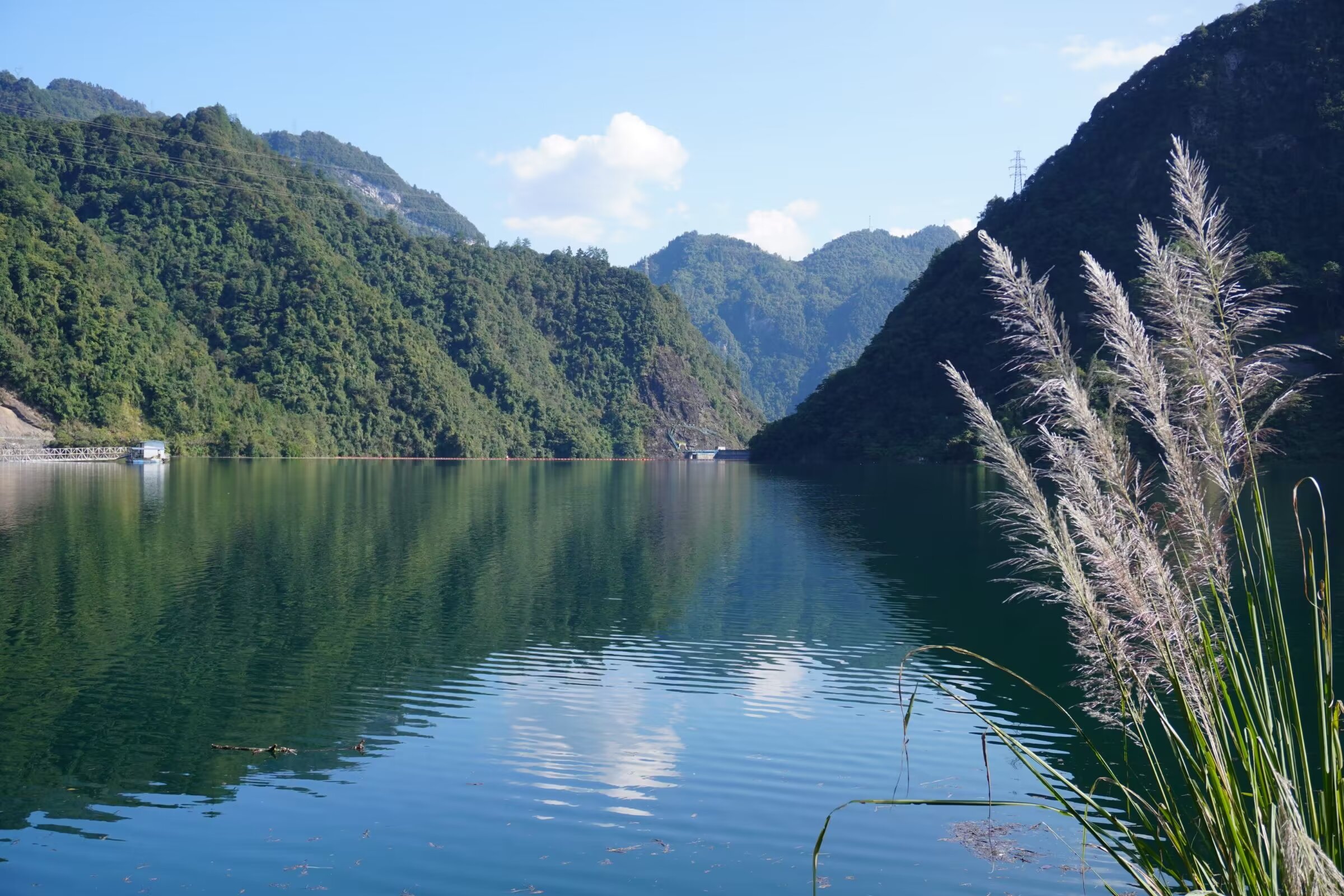 碧水青山 绿水青山图片