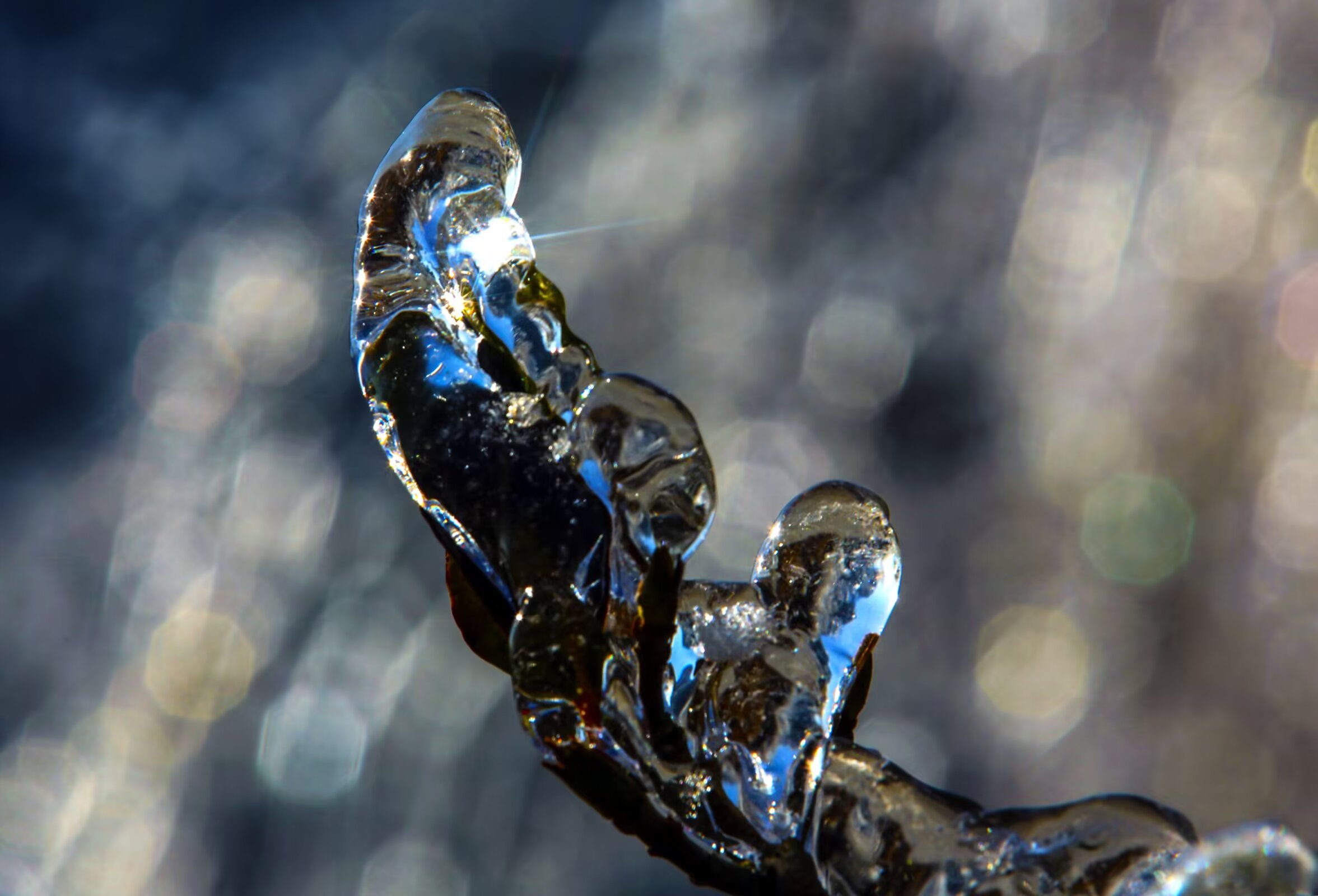 "雨水"化作的冰凌-图片频道-中国鹤峰网·湖北鹤峰县新闻网