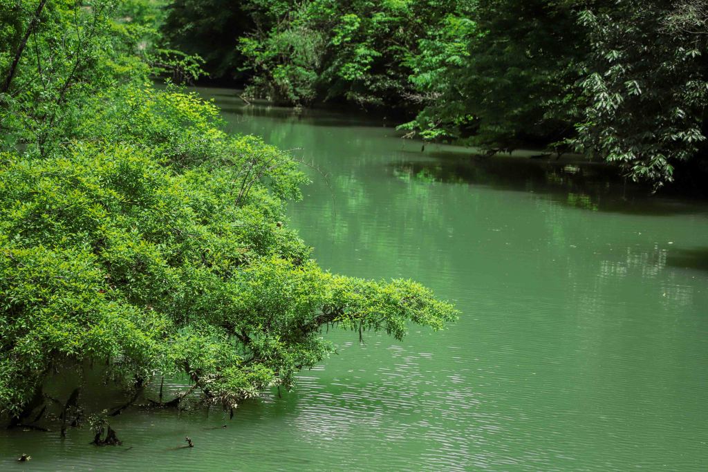 鹤峰董家河图片