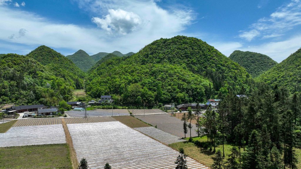 夏日董家河