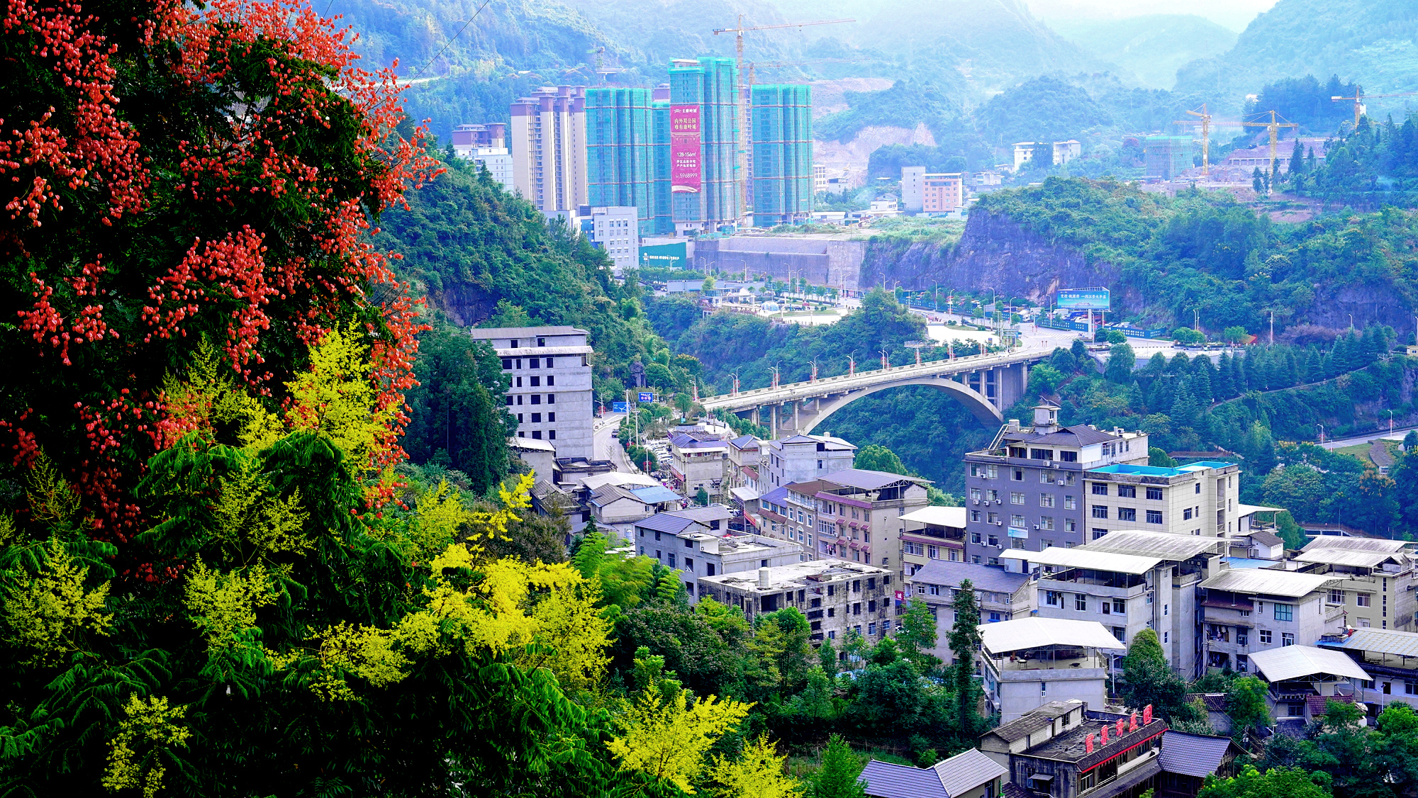 中国鹤峰网·湖北鹤峰县新闻网