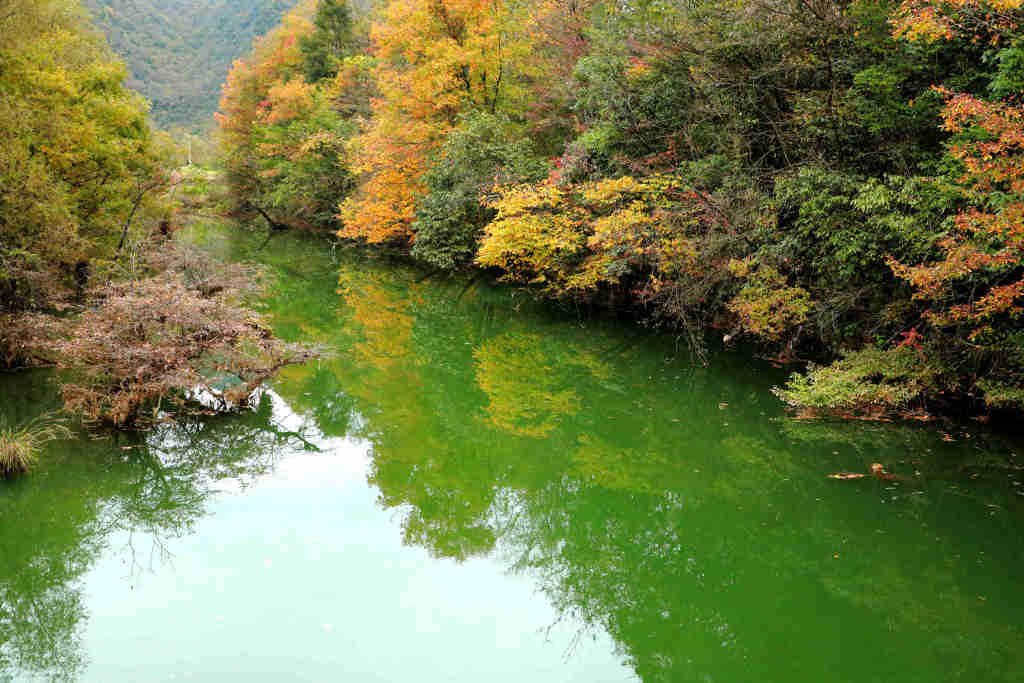 鹤峰董家河图片