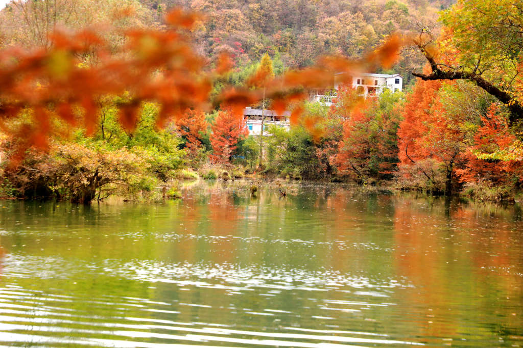 鹤峰董家河图片