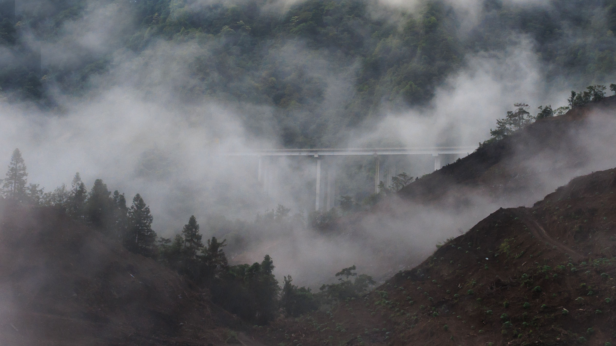 鹤峰县天气马上知