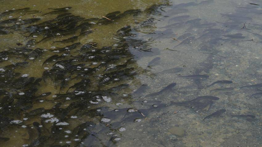 03e1140c2fb766e431fe1c33300f3b63.jpg!styleprocess35