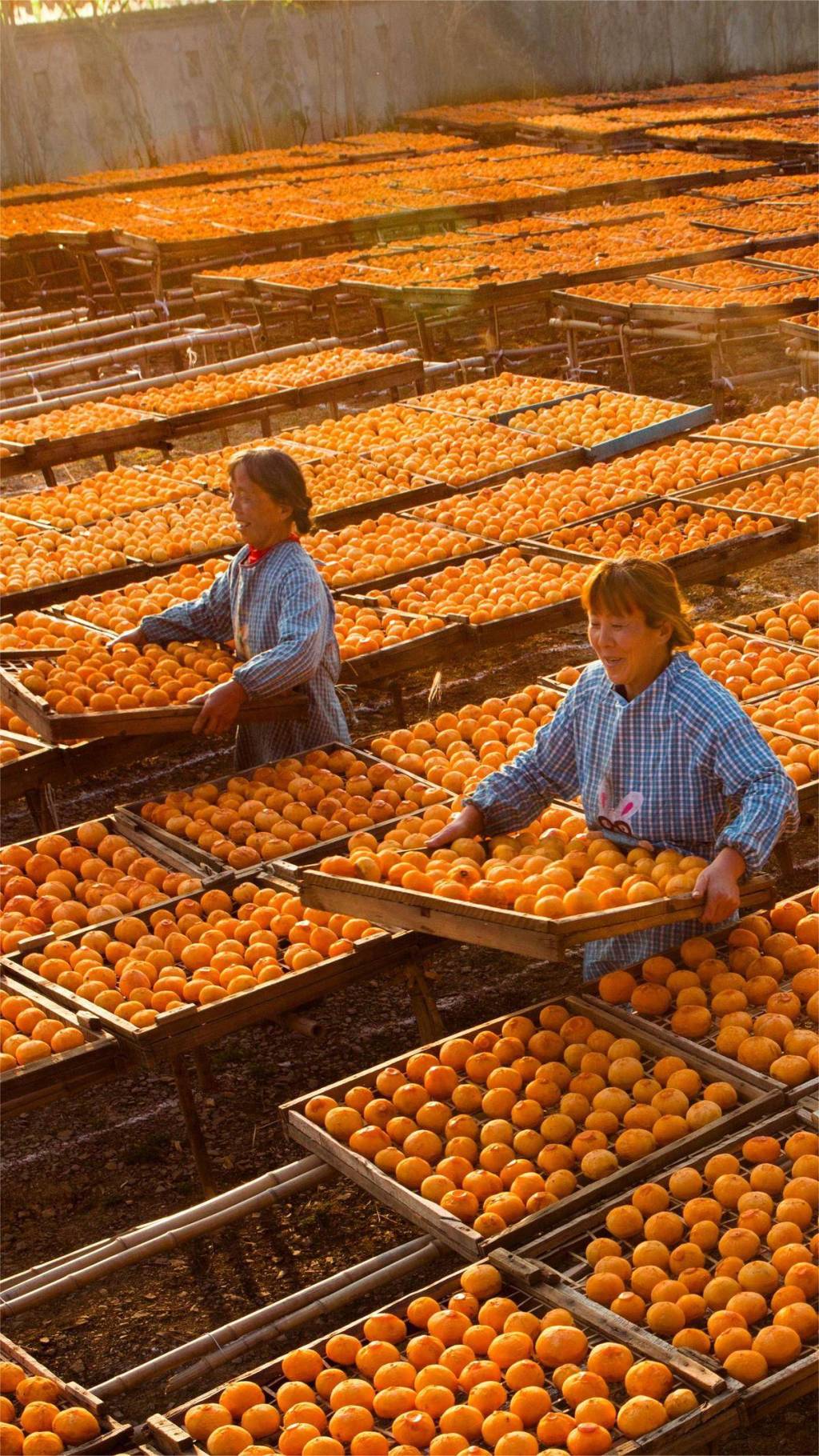 市长话经济丨恩施州州长夏锡璠只此青绿绘新颜