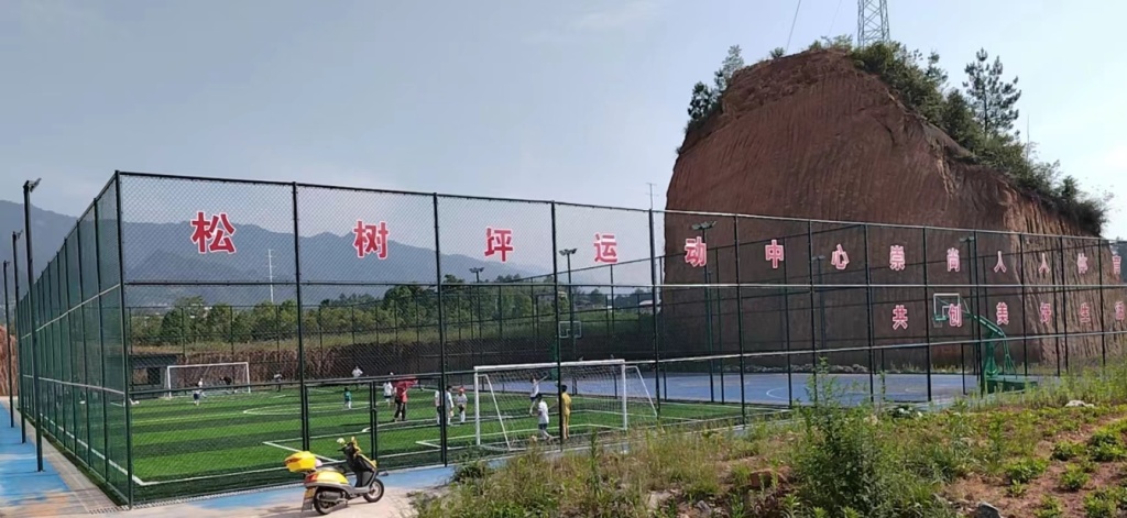 六角亭街道松树坪社区集体资产招租公告